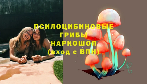 прущая мука Михайловск